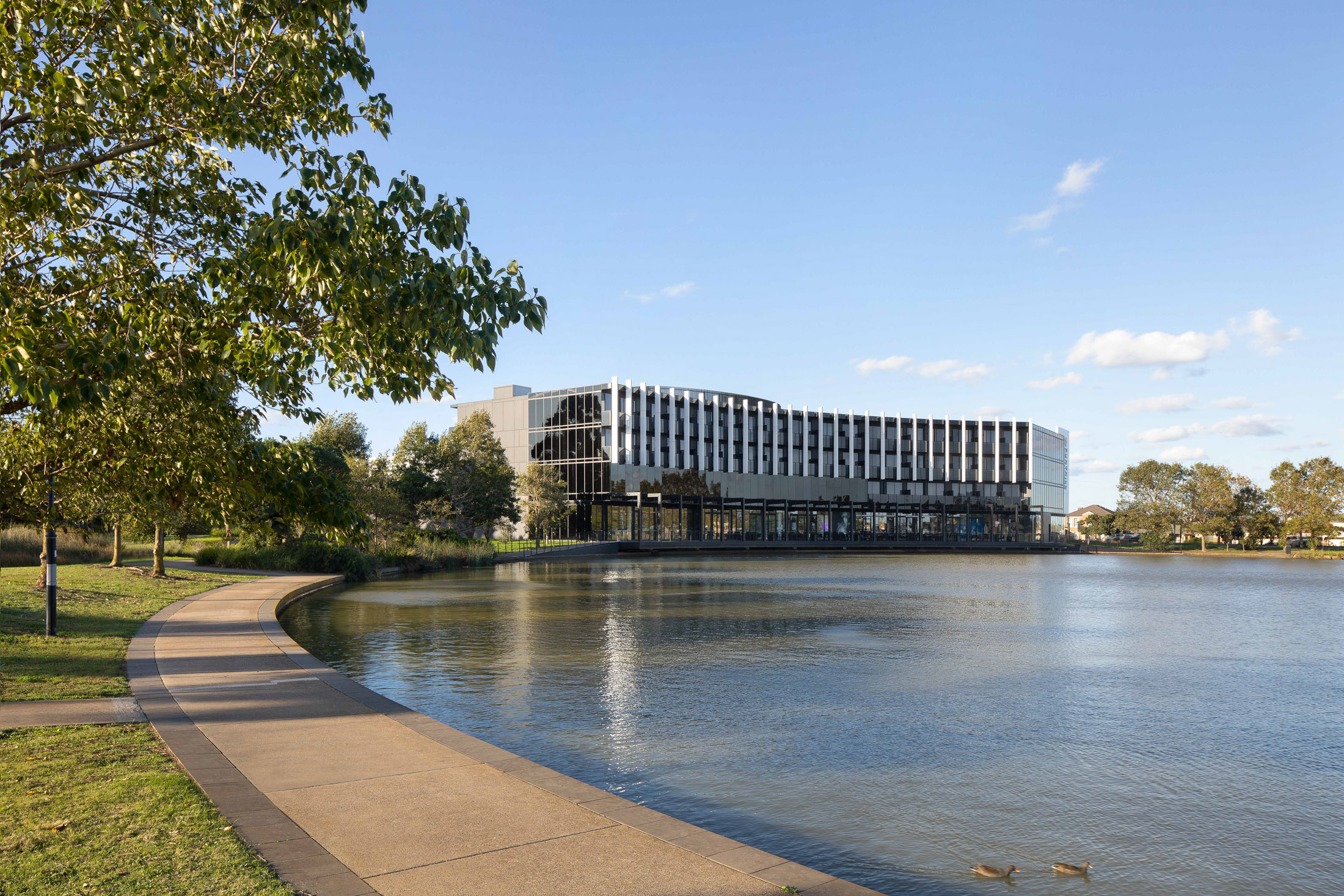 LLR EBP Springlake 8 v2